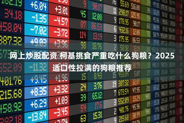 网上炒股配资 柯基挑食严重吃什么狗粮？2025适口性拉满的狗粮推荐