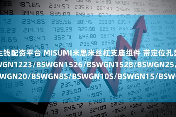 钱生钱配资平台 MISUMI米思米丝杠支座组件 带定位孔型的BSWGN1022/BSWGN1223/BSWGN1526/BSWGN1528/BSWGN25/BSWGN20/BSWGN8S/BSWGN10S/BSWGN15/BSWGN08/BSWGN10/BSWGN12