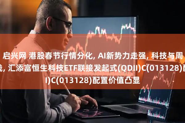 启兴网 港股春节行情分化, AI新势力走强, 科技与周期耗材成主线, 汇添富恒生科技ETF联接发起式(QDII)C(013128)配置价值凸显