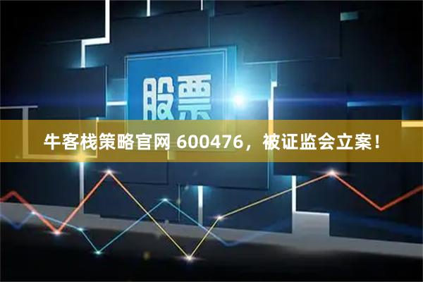牛客栈策略官网 600476，被证监会立案！