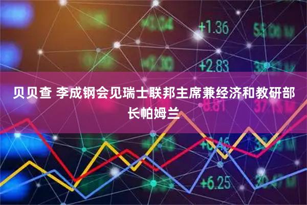 贝贝查 李成钢会见瑞士联邦主席兼经济和教研部长帕姆兰